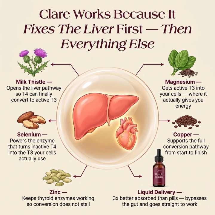 Clare Thyroid Balance