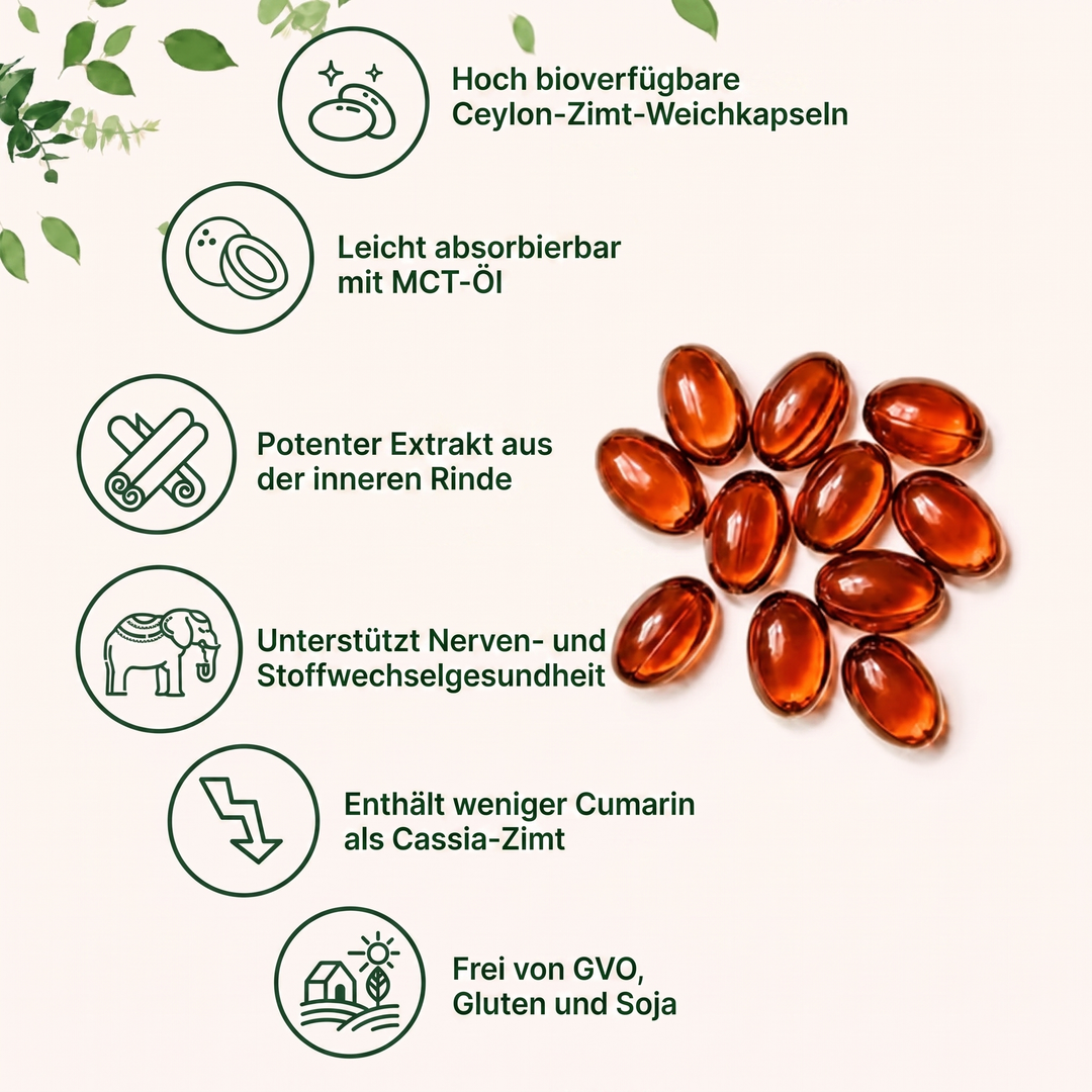 Clare Ceylon-Zimt 7.200 mg mit MCT-Öl